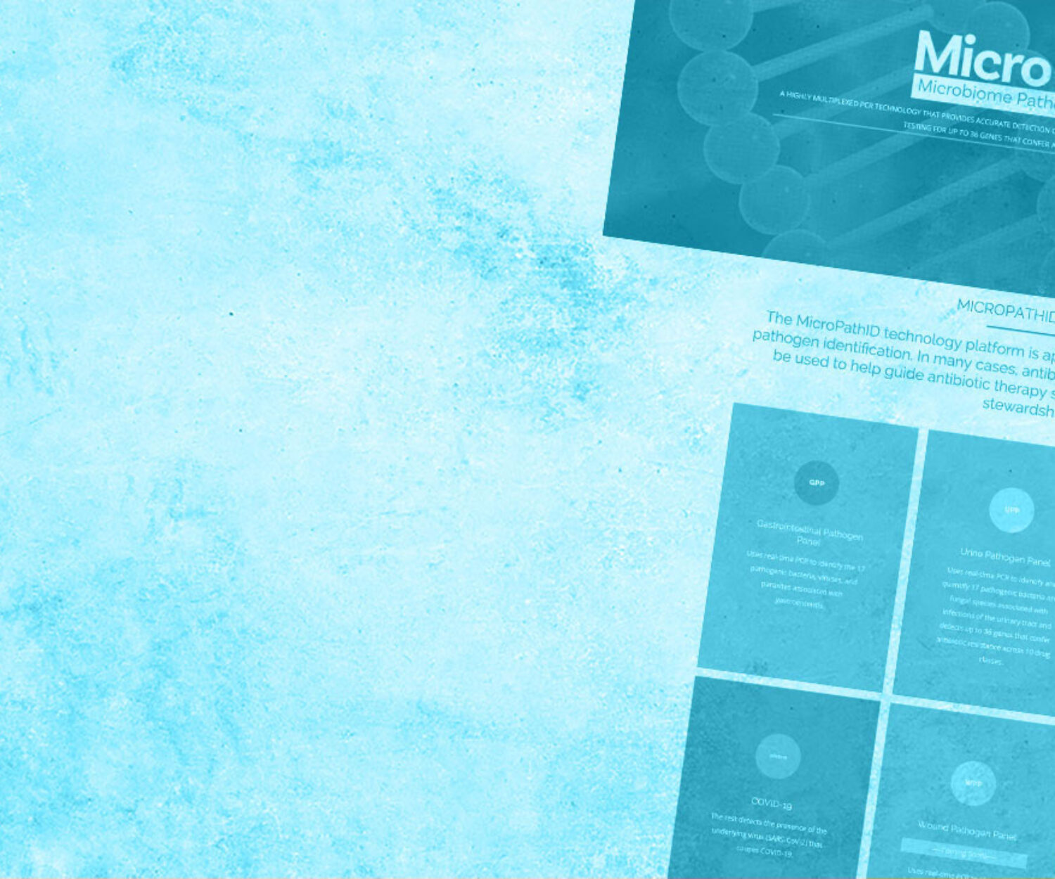 MicroPathID Website on blue background