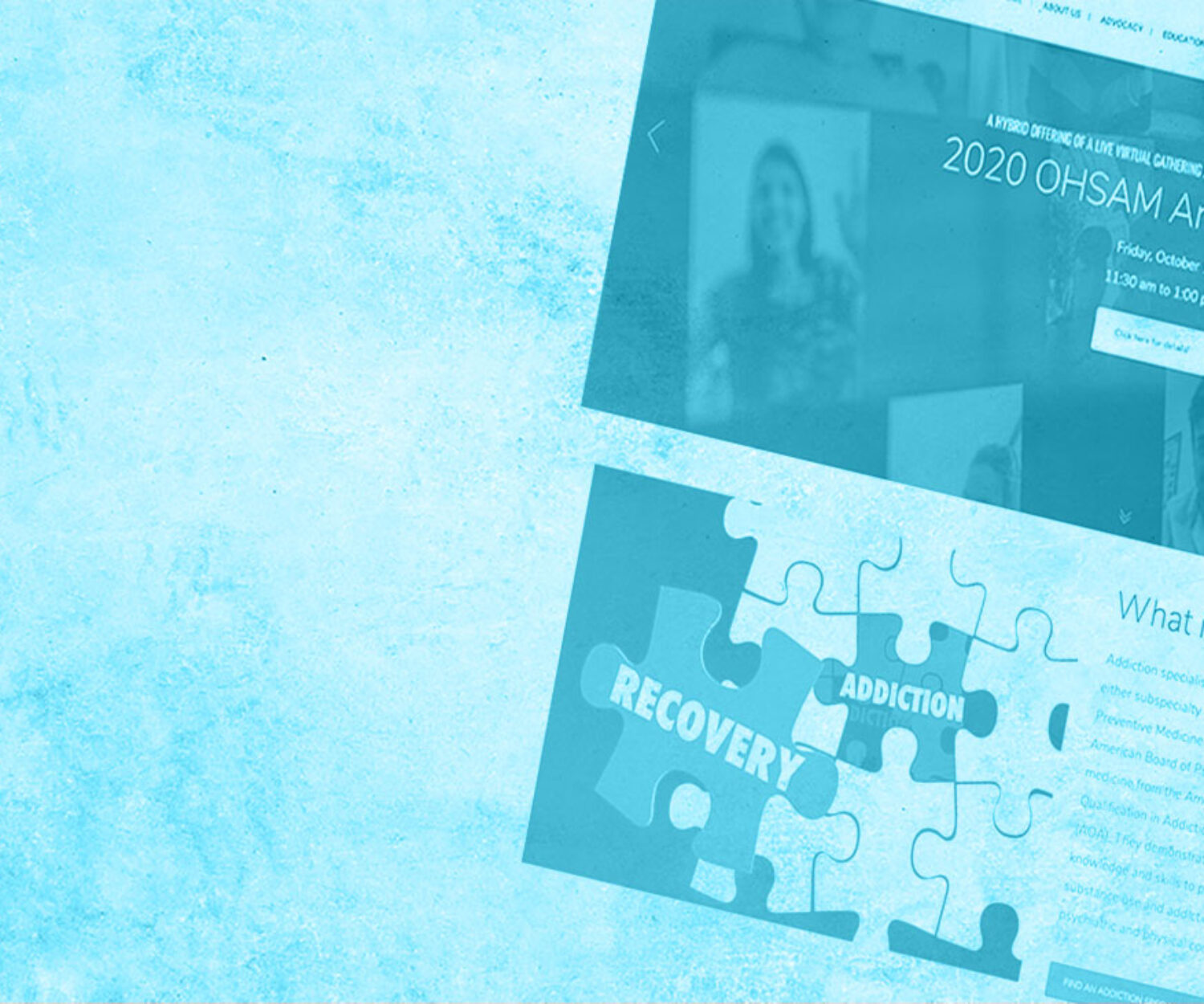 OHSAM Website Screenshot