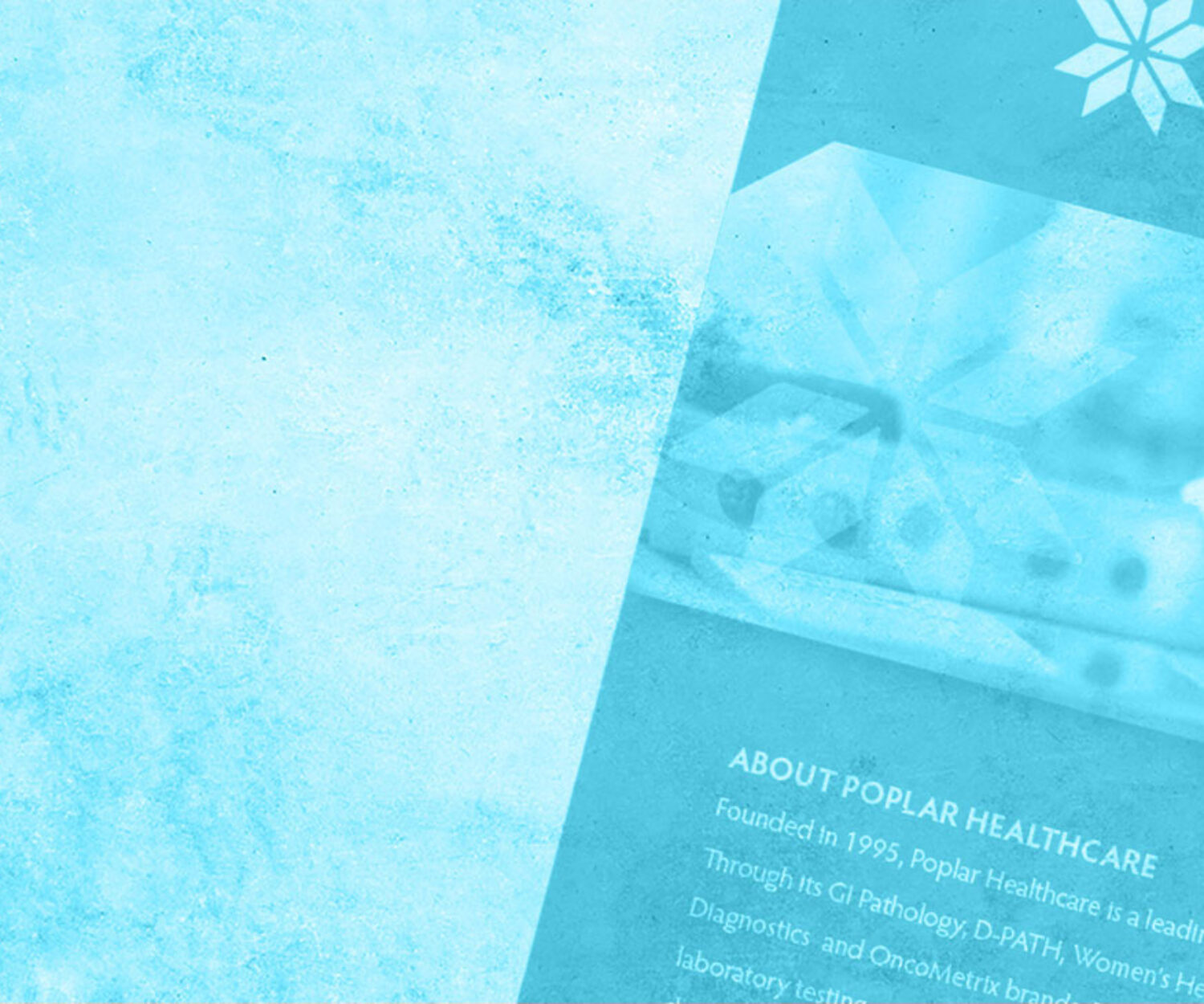 Poplar General Brochure on blue background