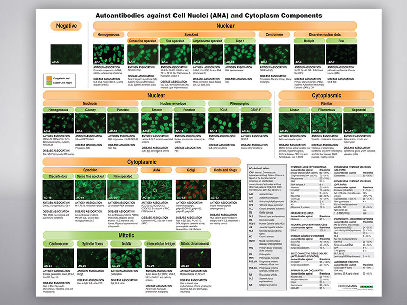 EuroImmune Scientific Poster