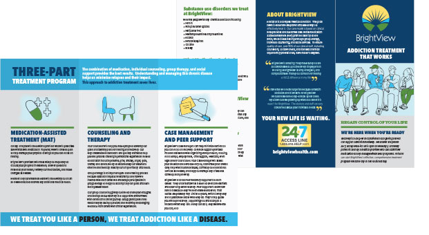 Tri-fold Corporate Brochure