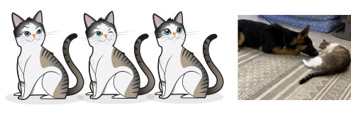 Custom Illustrations of Shelter The Cat. He lives at the facility and his job is to test dogs to ensure they are good to go to homes with cats.